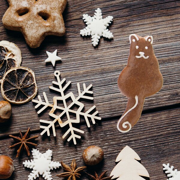 Vykrajovačka mačka