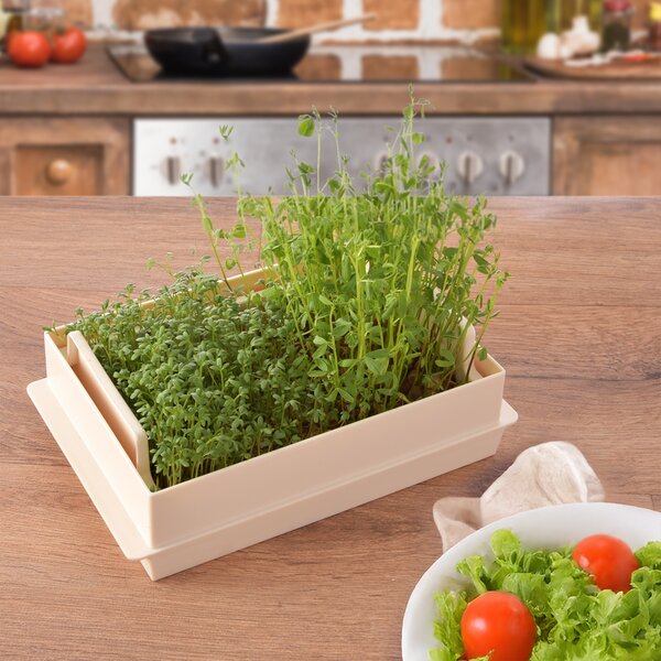 Nakličovacia misa s vekom 21x13,5 cm