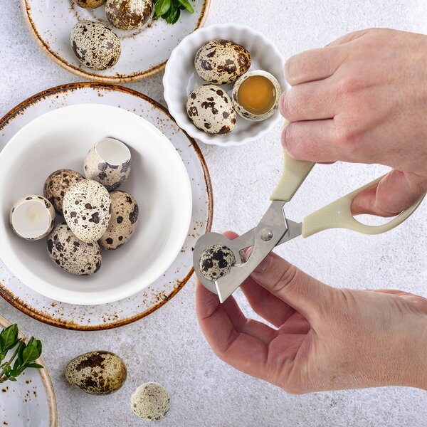 Nožnice na prepeličie vajíčka