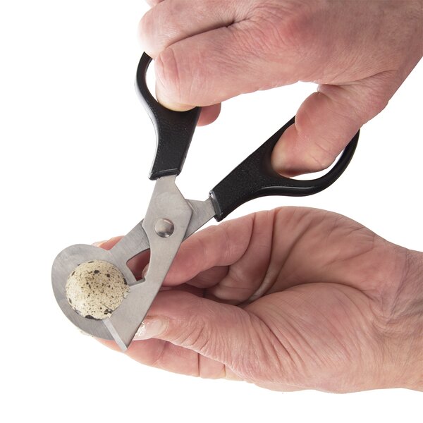 Nožnice na prepeličie vajíčka