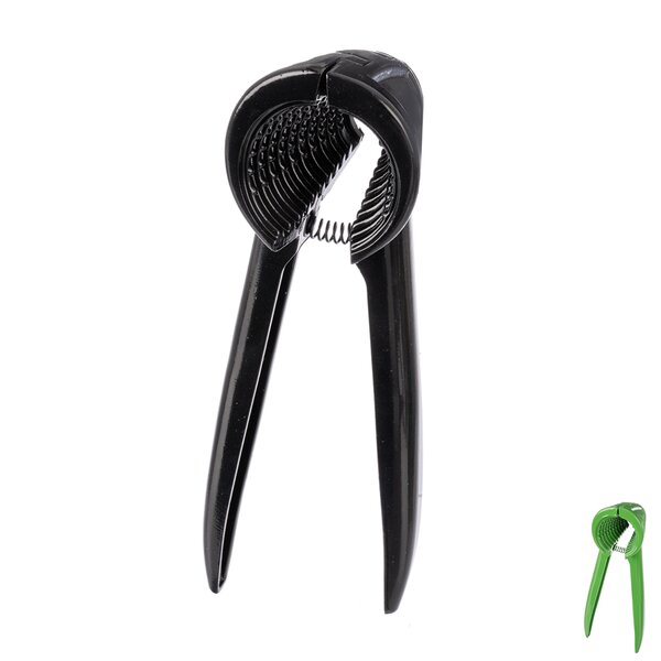 Luskáčik na orechy