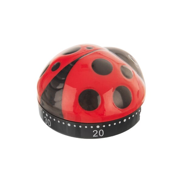 Kuchynská minútka lienka