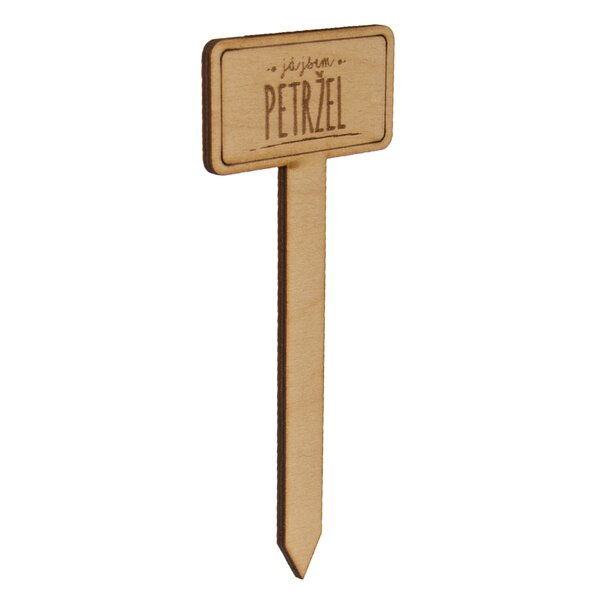 Zápich do kvetináča petržlen