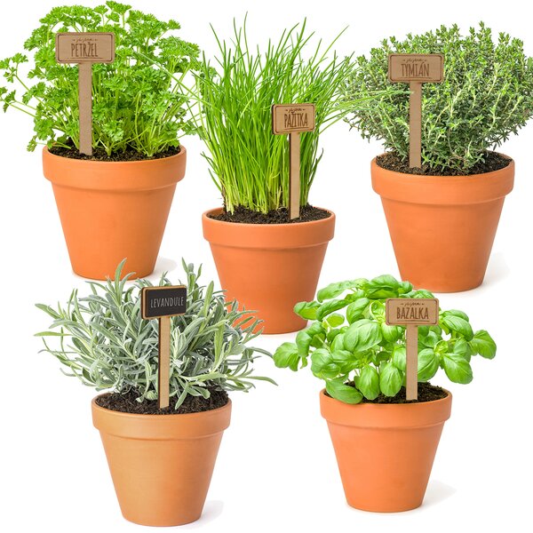 Zápich do kvetináča uni