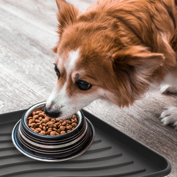 Vonkajšia rohož-odkvapkávač 78x38 cm