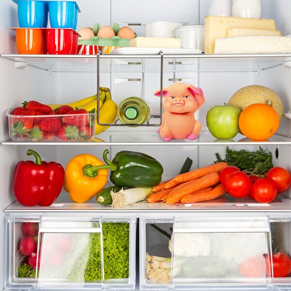 Prasiatko do chladničky