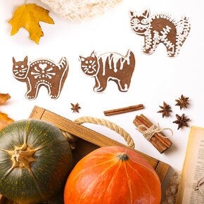 Vykrajovačka kocúr