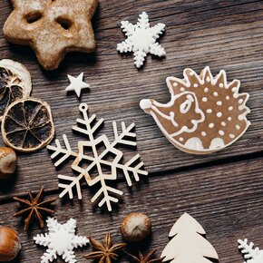 Vykrajovačka ježko