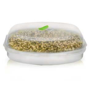 Naklíčovacia misa s vekom 29x21 cm