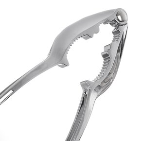 Luskáčik na orechy