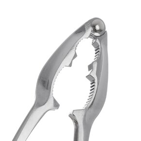 Luskáčik na orechy