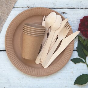 Vidlička NATURE 20 ks