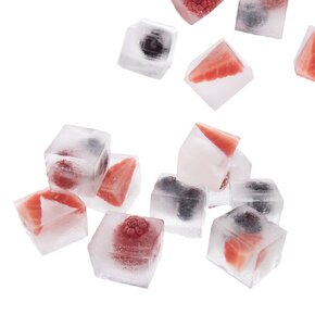 Forma na ľad s viečkom