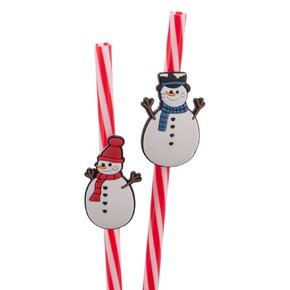 Nápojová slamka opakované použitie SNEHULIAK 6 ks