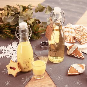 Fľaša s klip uzáverom VLOČKA 0,29 l