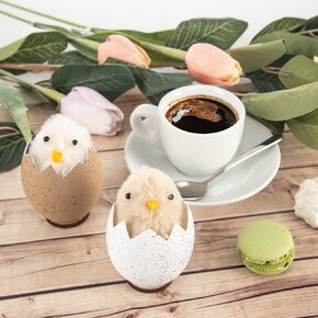 Veľkonočné dekorácie kura v škrupine