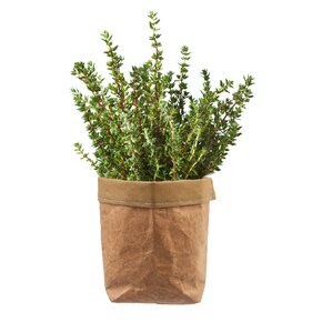 Obal na kvetináč pr. 12 cm