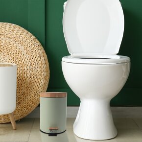 Odpadkový kôš GREENISH 3 l