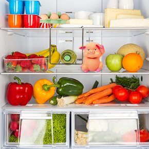 Prasiatko do chladničky